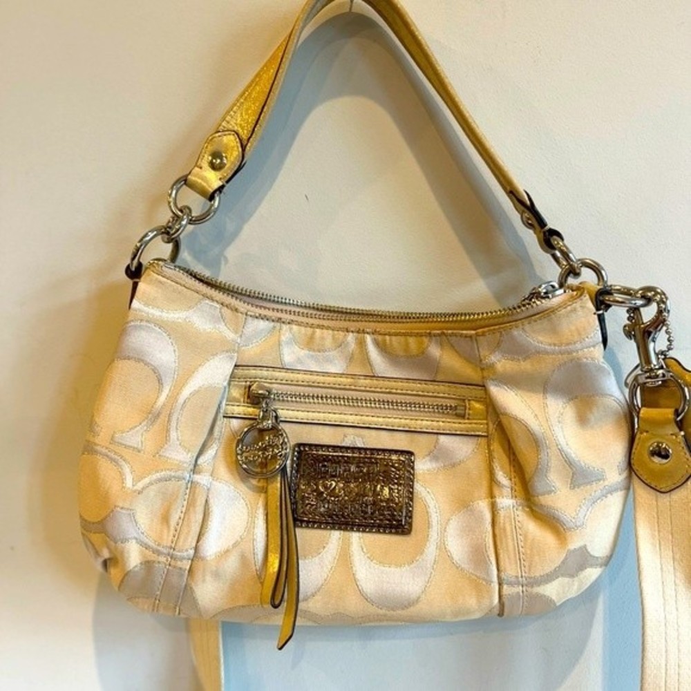 Coach Shoulder/Crossbody bag